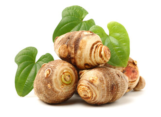 Taro on a white background