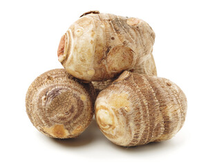 Taro on a white background