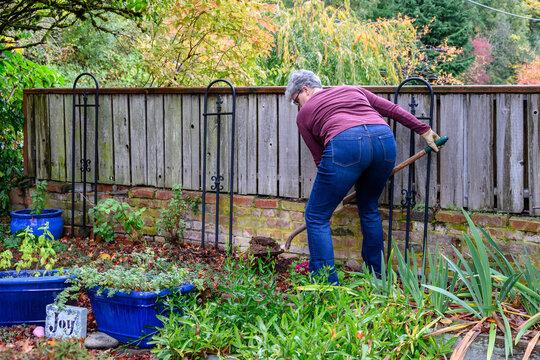 Middle Aged Woman Digging A Hole In A Front Yard Garden In Preparation For Installing A New Bush
