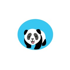 Panda bear cute illustration vector