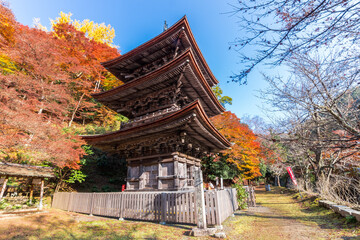 ああ、美しきかな、ニッポンの紅葉