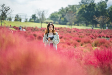 Fototapeta premium コキアが綺麗な公園で写真を撮るカメラ女子