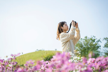 コスモス畑で撮影するカメラ女子