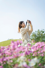 コスモス畑で撮影するカメラ女子