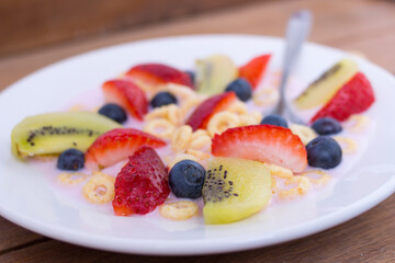 plate with yogurt, cereals, strawberries, blueberries and kiwi - cloesup
