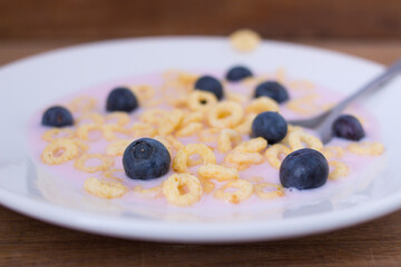 plate with yogurt, cereals and blueberries