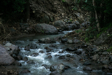 Sierra de manantlan, autlan de navarro, jalisco