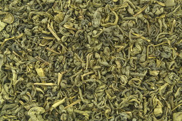 Green tea leaves background or texture