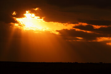アフリカマサイの夕日