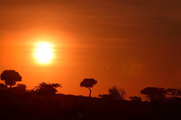 Fototapeta na wymiar アフリカマサイの夕日