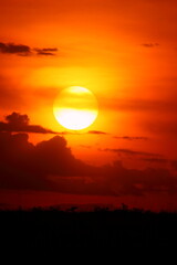 アフリカマサイの夕日