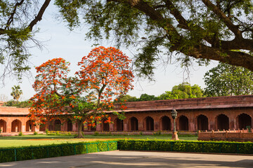 インド　アーグラのタージ・マハルの前庭のジラウカーナ