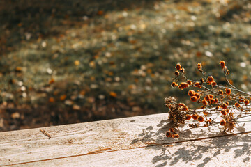 Dried flowers are lying on the table against the background of an autumn forest. Selective focus. The concept of a warm autumn