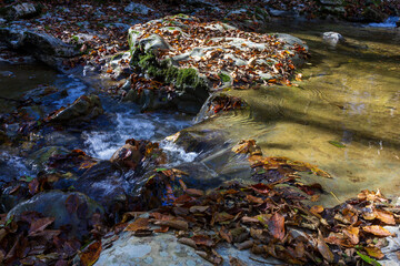 Autumn in the mountains, a mountain river, a calm current, a sunny morning, fallen leaves, with a reflection in the water.