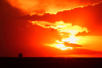 アフリカマサイの夕日