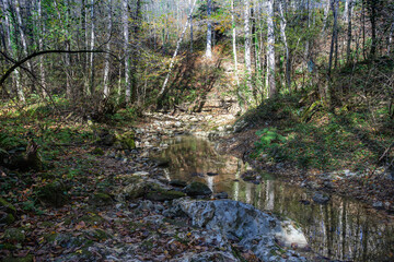 Autumn in the mountains, a mountain river, a calm current, a sunny morning, fallen leaves, with a reflection in the water.