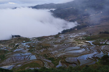 雲南省・元陽 多依樹エリア 紅河ハニ族棚田群