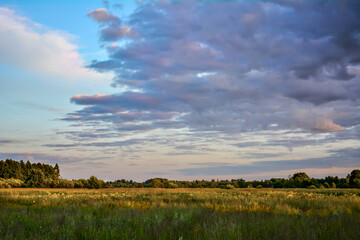 Beautiful cloudy sky just before sunset, field, trees in the distance.