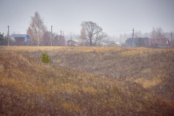 Fototapeta premium The first snow. Snow flakes fall on the grass and trees. Beautiful rural landscape. The effect of a grainy film.