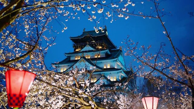 Osaka castle among cherry blossom (sakura) in the evening scene after sunset with dark blue sky and light