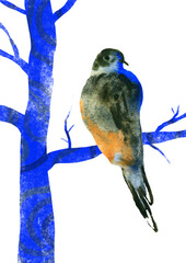 Watercolor bird sits on a tree. Artistic hand drawn poster. - 464630765