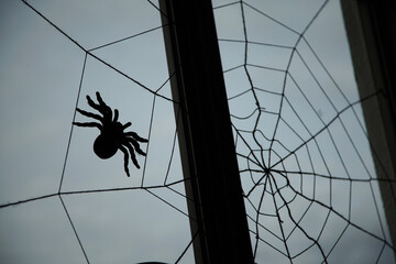 Spider web on the window of the room
