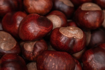 close up of chestnuts