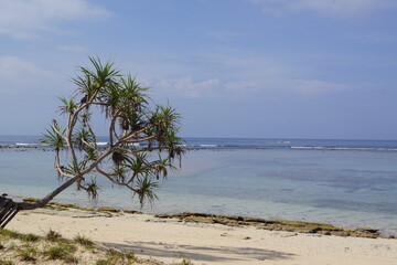インドネシア・ギリメノ島 淡いブルーの海と砂浜