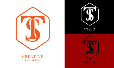 letter T S element in gold hexagon outline logo icon