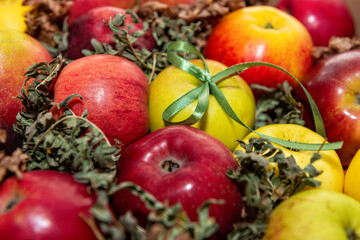 Naklejka na ściany i meble red, tasty apples close-up on a background of green moss, gift decoration with green ribbon