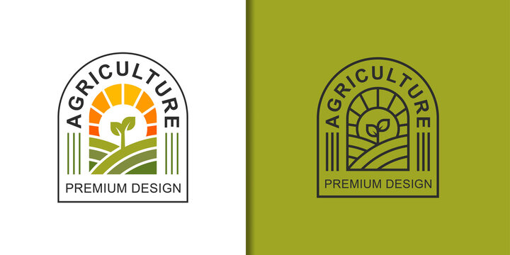 eco green farm with plant logo. agriculture farmer garden with sun nature linear logo design vector template