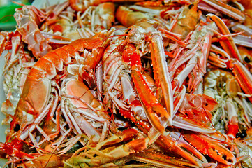 Puestos de pescados y mariscos en el Mercado de Pontevedra, Galicia
