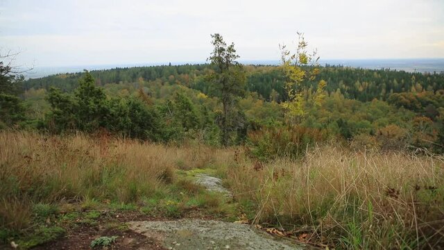 Autumn landscape in Omberg Sweden a windy day 