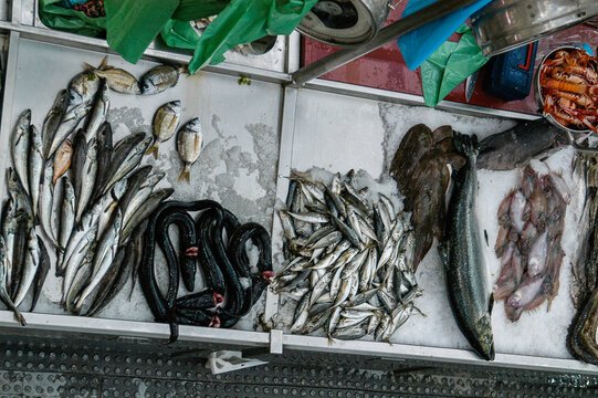 Puestos de pescados y mariscos en el Mercado de Pontevedra, Galicia