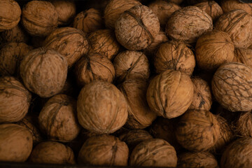 autumn background of ripe walnuts in brown shell