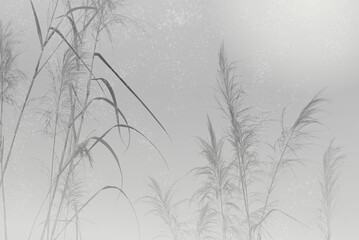 Aesthetic of winter nature in cool outdoor atmosphere. Soft and calm grass flowers object background in monotone.