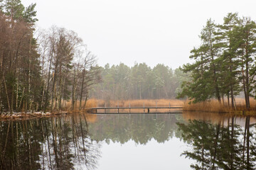Fototapeta na wymiar Footbridge at a lake in the forest at wintertime