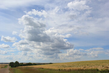 カナダの空と草原　grassland