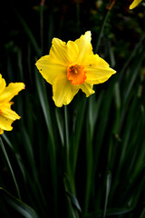 New Zealand, Taitua Arboretum Walk 