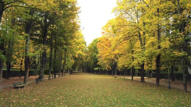 walk in the park in autumn