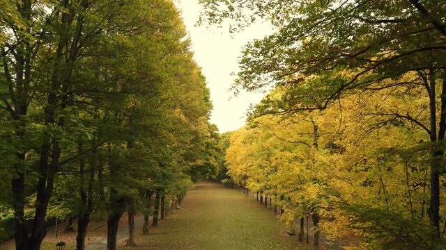 walk in the park in autumn