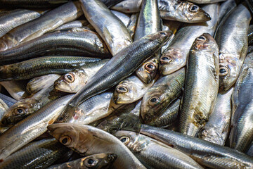 fresh fish on ice, central market, centraltirgus, riga, latvia, old town, baltics, baltic countries, europe