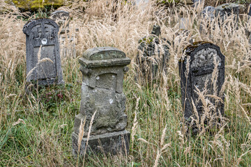 Old tombstones in a rural cemetery overgrown with tall grass