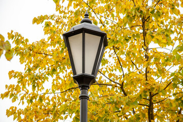 a lamppost on a background of yellow leaves. street lighting. lanterns in the park.