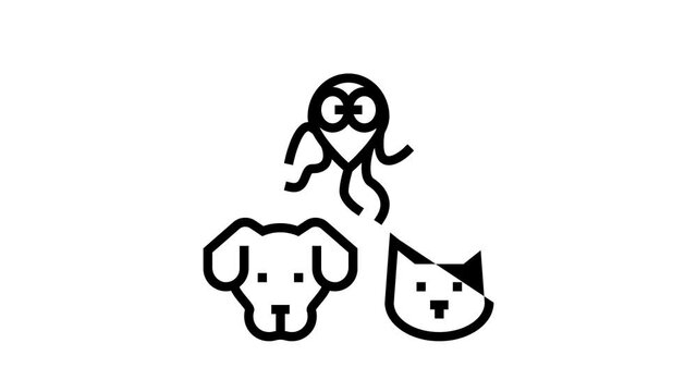 Pet Disease Ill Health Problem black line animation. Salmonellosis And Tapeworm, Psittacosis And Sarcoptic Mange, Leptospirosis And Streptococcues Pet Disease