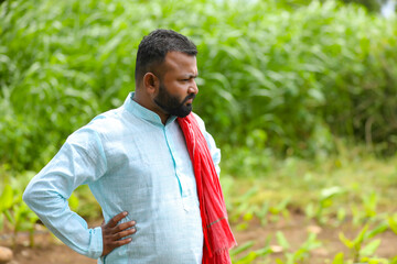 Young indian farmer standing at green turmeric agriculture field.