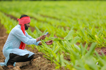 Fototapeta premium Indian farmer using smartphone at agriculture field