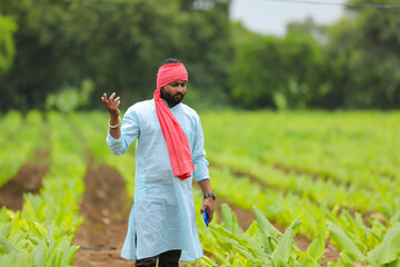 Young indian farmer standing at green turmeric agriculture field.