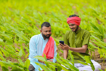 Indian farmers using smartphone at green turmeric agriculture field.