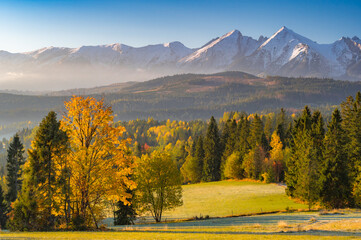 Moutain landscape, Tatra mountains panorama, colorful autumn view from Lapszanka pass, Poland and...